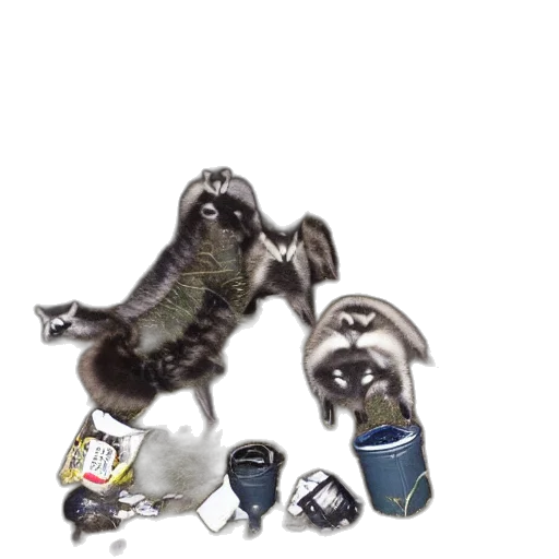 animal, creature, robot, concept art, 3d render, photorealistic, outer space, monochrome transparent PNG cut-out
