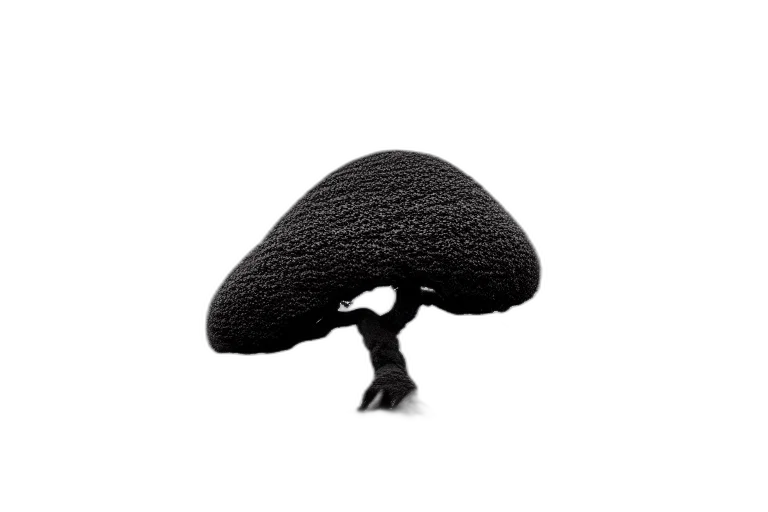 hat, tree, hair, crown, 3d render, photorealistic, concept art, monochrome transparent PNG cut-out
