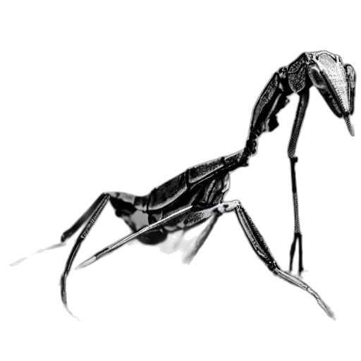 creature, animal, dragon, robot, concept art, 3d render, fantasy art, pixel art transparent PNG cut-out