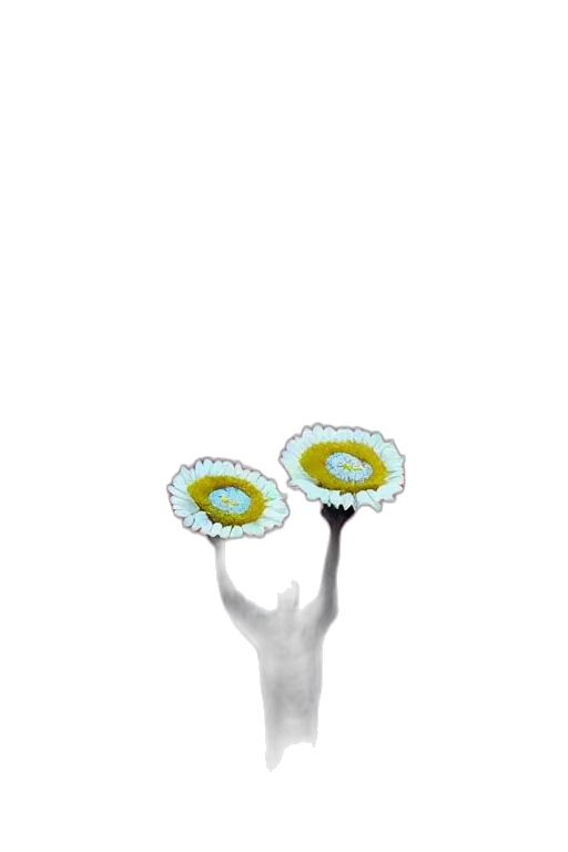 jewelry, flower, staff, crown, 3d render, concept art, pixel art, photorealistic transparent PNG cut-out