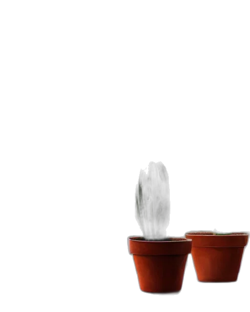 flower, staff, hair, furniture transparent PNG cut-out