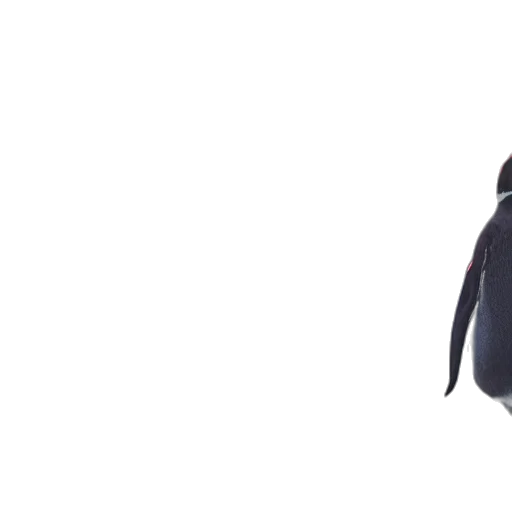 jacket, umbrella, dress, staff, 3d render, concept art, dark, cyber transparent PNG cut-out