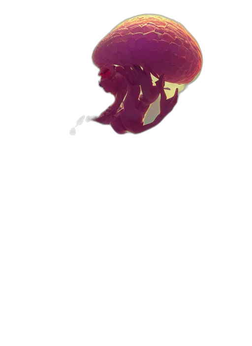crown, animal, creature, hair transparent PNG cut-out