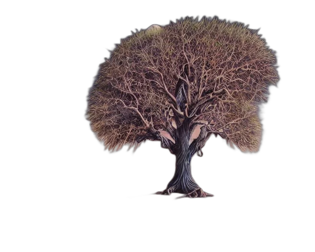 tree, hair, crown, animal transparent PNG cut-out