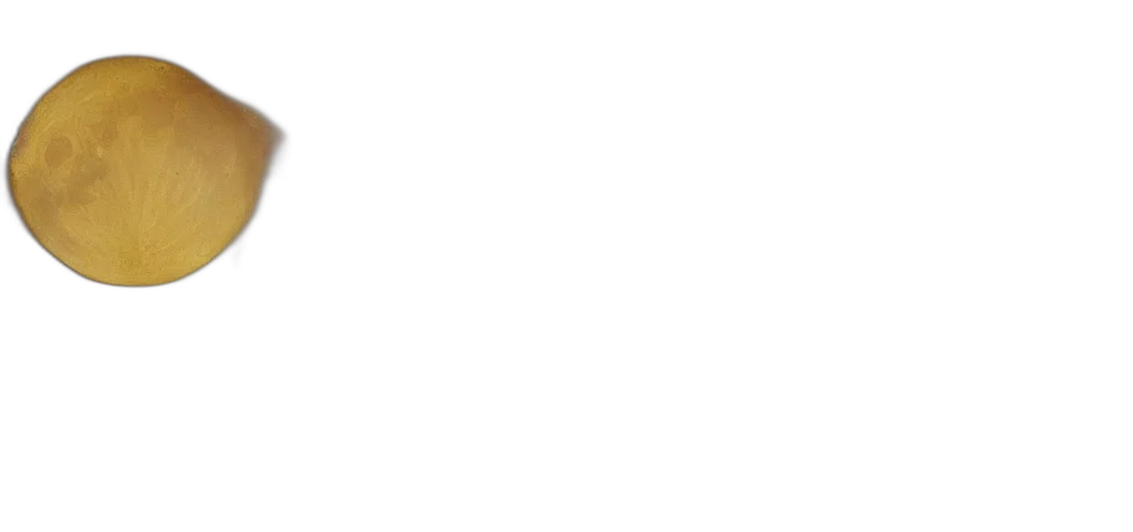 staff, face, monochrome, pastel, moon, protodoom, feral, internet transparent PNG cut-out