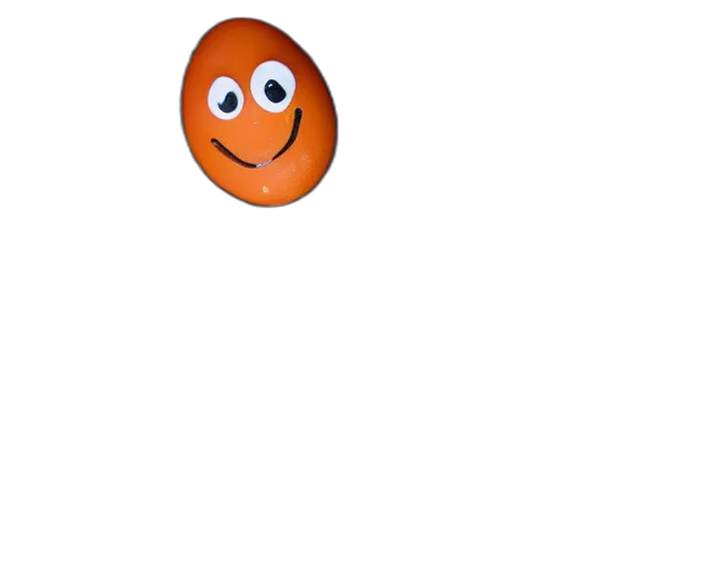 face, animal, mask, staff transparent PNG cut-out