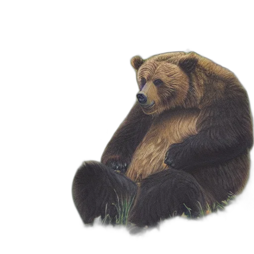animal, creature, photorealistic, concept art, watercolor, 3d render, grizzly, bear transparent PNG cut-out