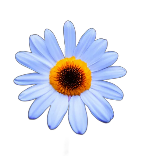 flower, crown, staff, jewelry transparent PNG cut-out
