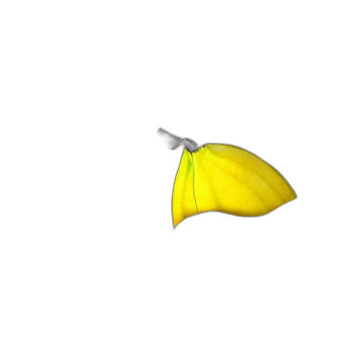 umbrella, weapon, flower, hat, 3d render, concept art, photorealistic, pixel art transparent PNG cut-out