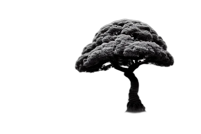 tree, crown, hat, hair, photorealistic, 3d render, concept art, fantasy art transparent PNG cut-out