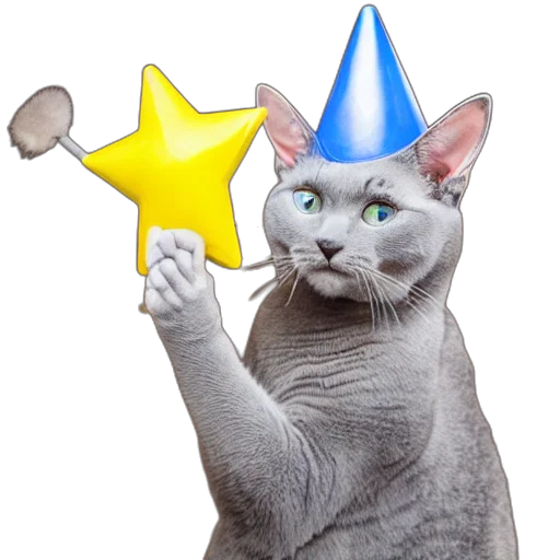 staff, hat, upset, terrified, gray, cat, blue, wizard transparent PNG cut-out