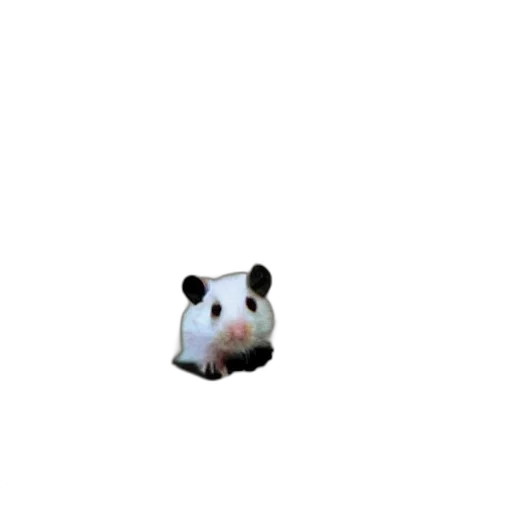 animal, creature, mask, staff transparent PNG cut-out