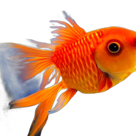 animal, staff, creature, photorealistic, 3d render, underwater, photo, close transparent PNG cut-out
