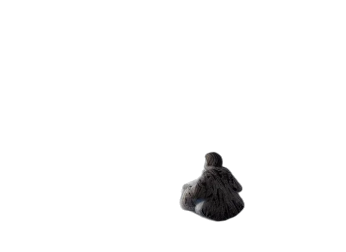 jacket, hat, bottle, hair transparent PNG cut-out