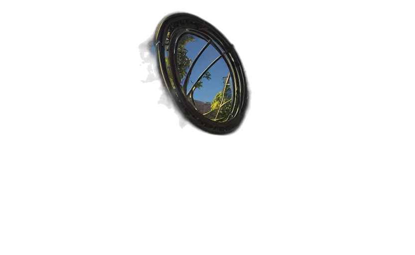 hat, crown, jewelry, tree transparent PNG cut-out
