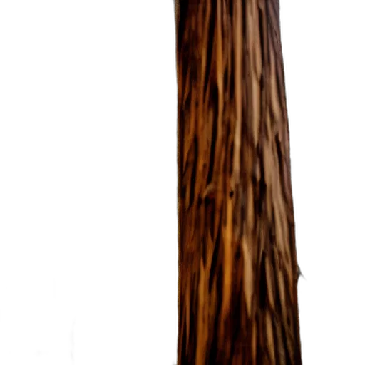 staff, tree, sword, hair, 3d render, photorealistic, concept art, fantasy art transparent PNG cut-out