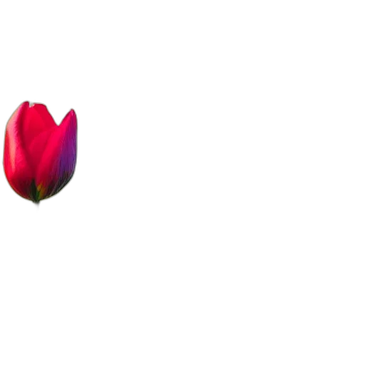 flower, crown, face, staff transparent PNG cut-out