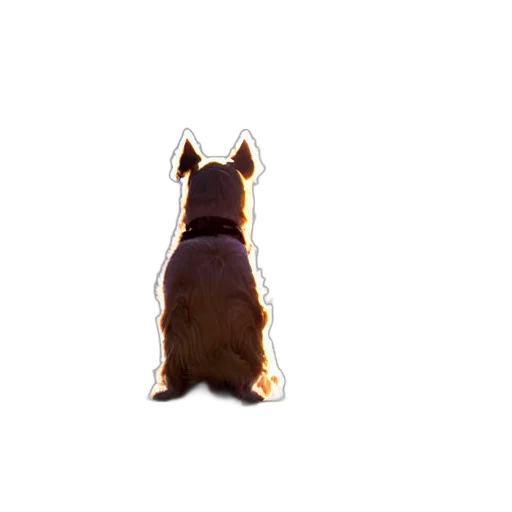 animal, staff, creature, crown transparent PNG cut-out