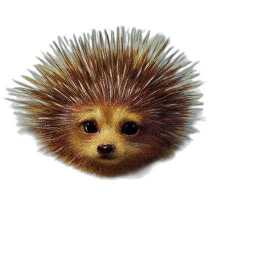 animal, creature, hair, staff, 3d render, photorealistic, concept art, pixel art transparent PNG cut-out