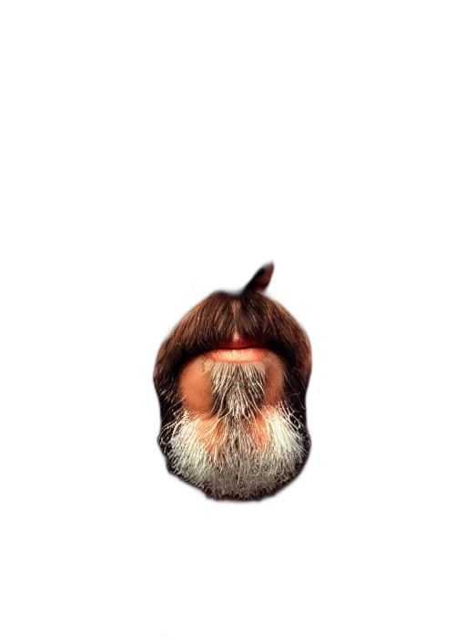 hair, face, hat, mask transparent PNG cut-out