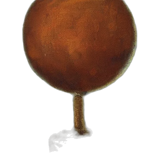 staff, furniture, crown, tree, watercolor, oil painting, concept art, 3d render transparent PNG cut-out
