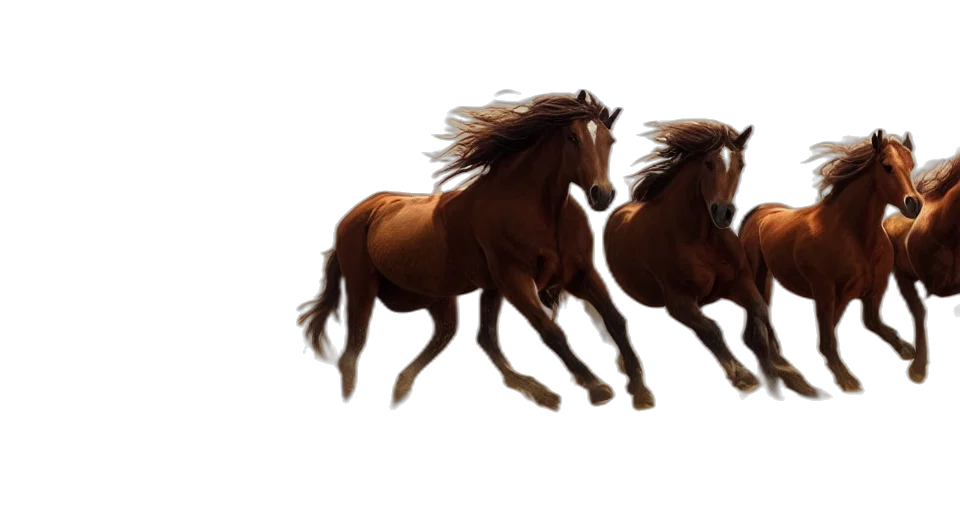 animal, hair, photorealistic, concept art transparent PNG cut-out