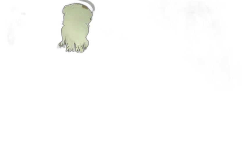 creature, hat, hair, staff transparent PNG cut-out