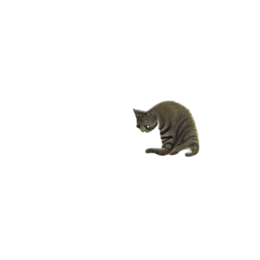 animal, creature, staff, hat transparent PNG cut-out