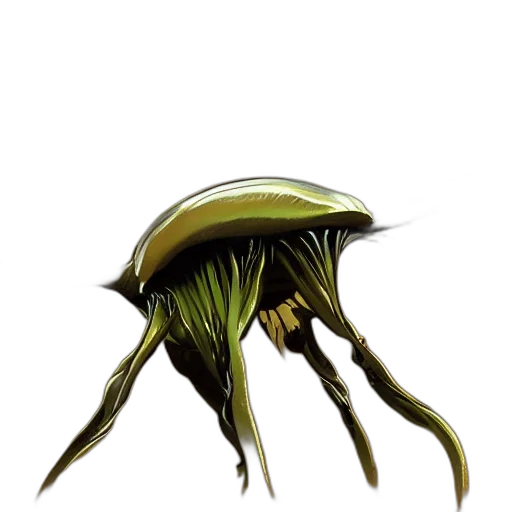 creature, hair, hat, animal transparent PNG cut-out