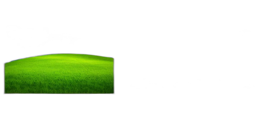 car, tree, hat, hair transparent PNG cut-out