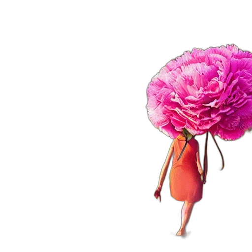 flower, crown, hat, hair transparent PNG cut-out