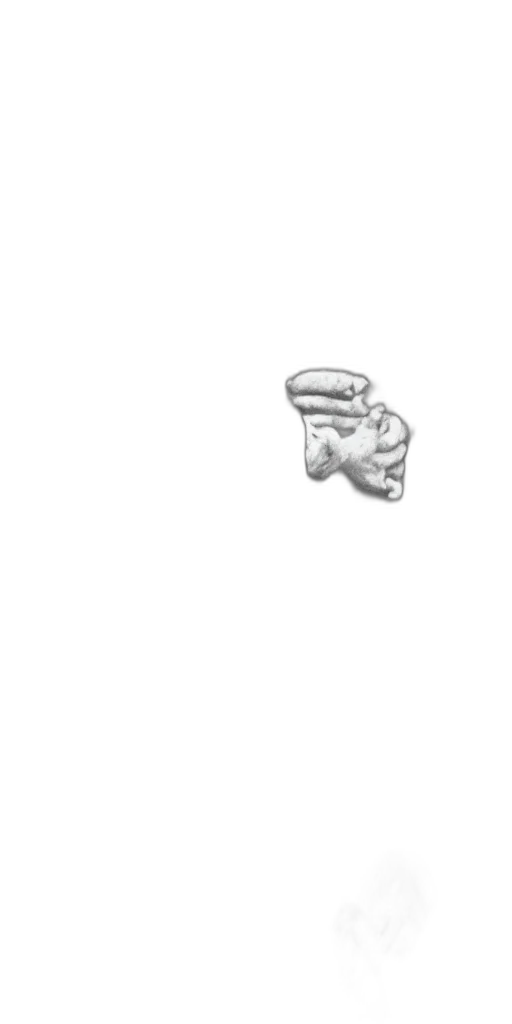 jewelry, crown, hat, face transparent PNG cut-out