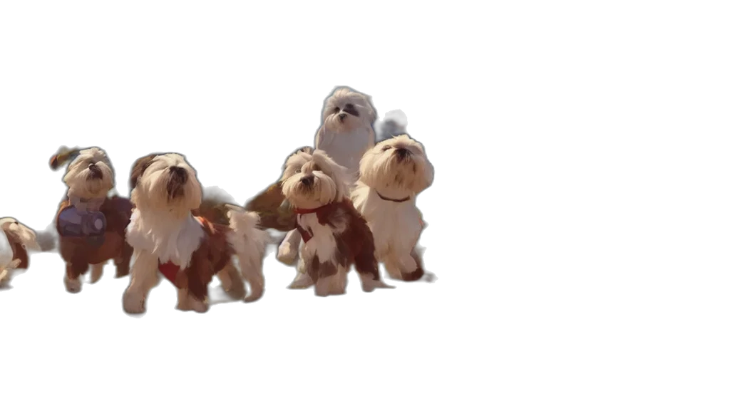 animal, staff, creature, 3d render transparent PNG cut-out