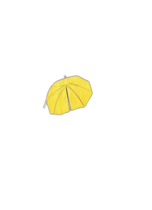 umbrella, hat, flower, crown, 3d render, photorealistic, pixel art, concept art transparent PNG cut-out
