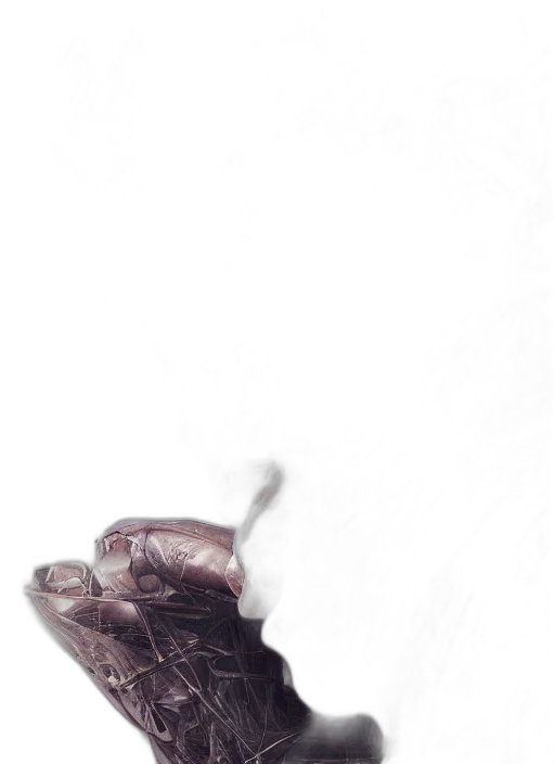 shoes, mask, dragon, creature transparent PNG cut-out