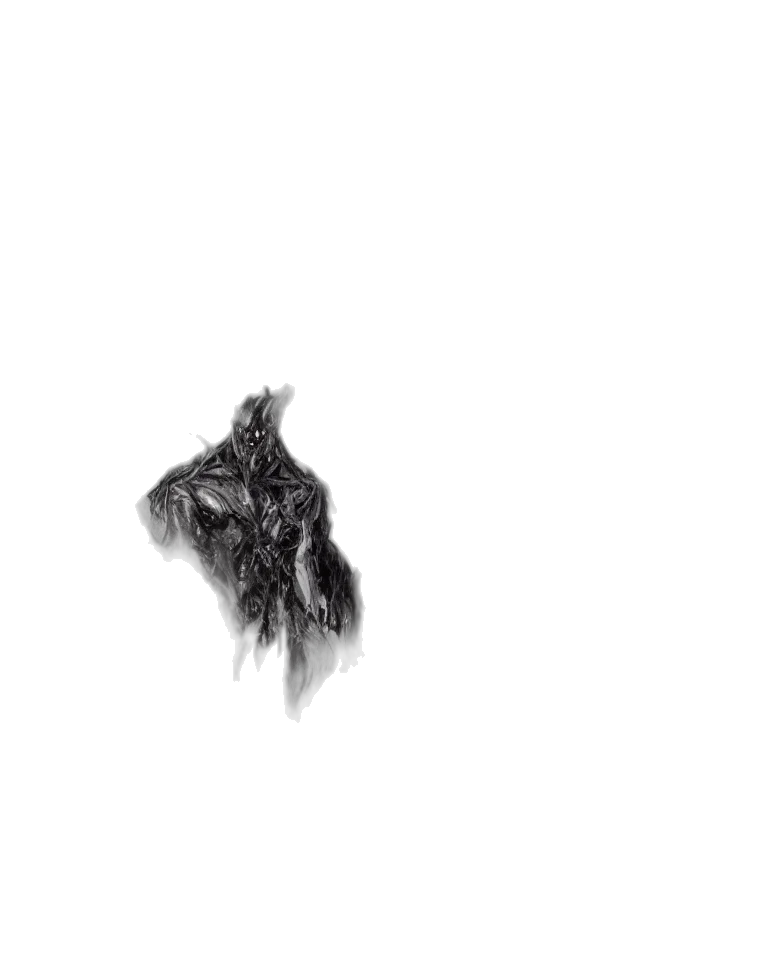 hair, animal, dragon, creature transparent PNG cut-out