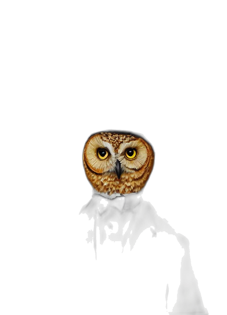 animal, staff, jewelry, face transparent PNG cut-out