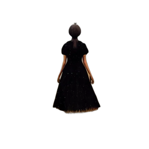 dress, hair, crown, hat transparent PNG cut-out