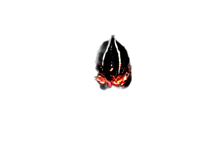 mask, crown, hat, dragon transparent PNG cut-out