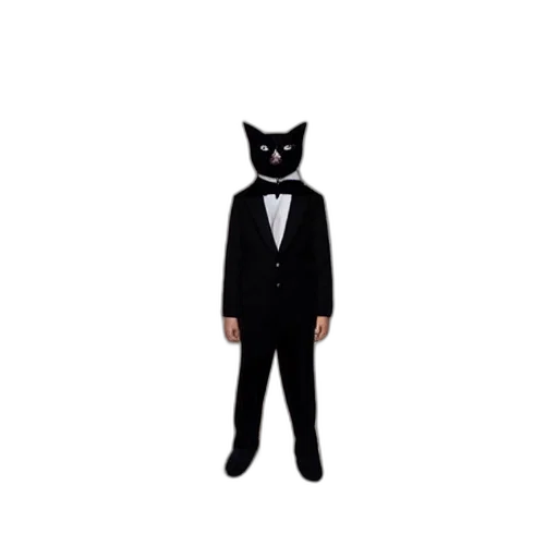 animal, staff, mask, creature, pixel art, concept art, cartoon, cat transparent PNG cut-out