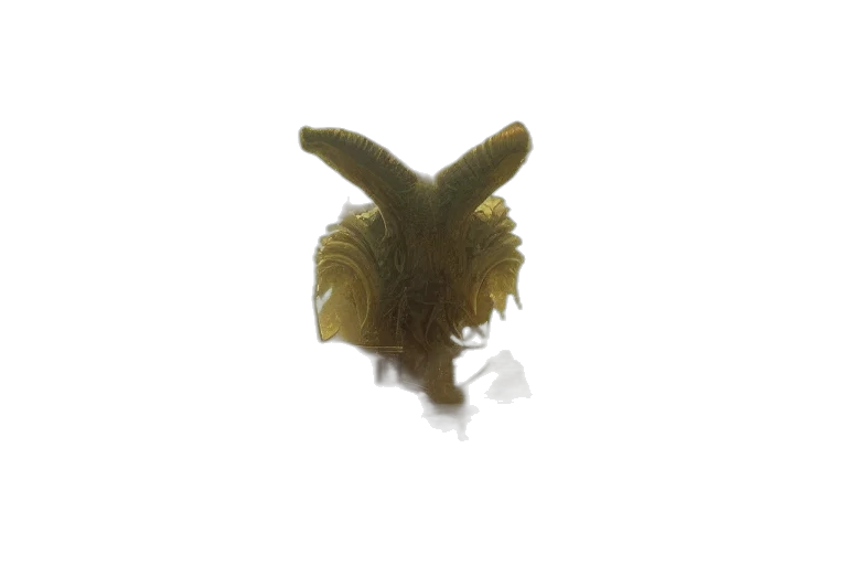 crown, hair, creature, animal, 3d render, photorealistic, underwater, proud transparent PNG cut-out