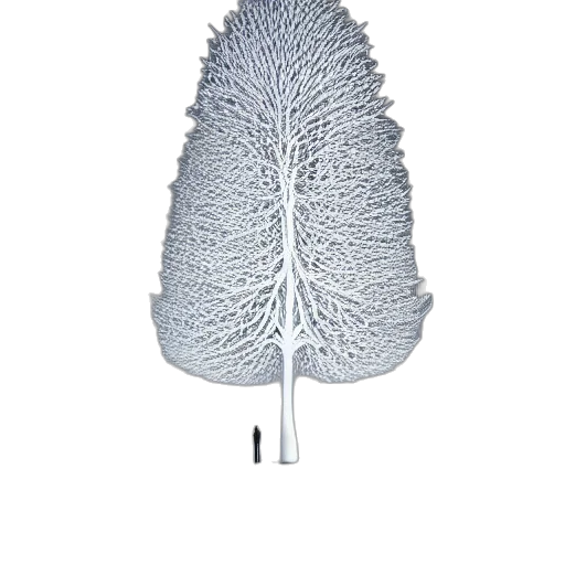 tree, hair, umbrella, crown transparent PNG cut-out