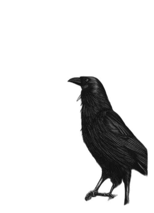 animal, creature, crown, dress transparent PNG cut-out