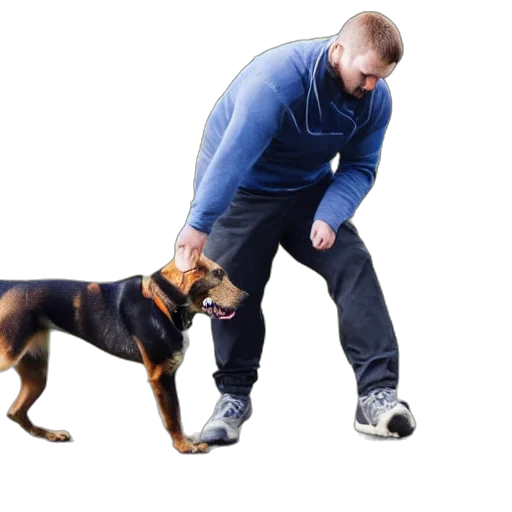 animal, staff, weapon, creature transparent PNG cut-out