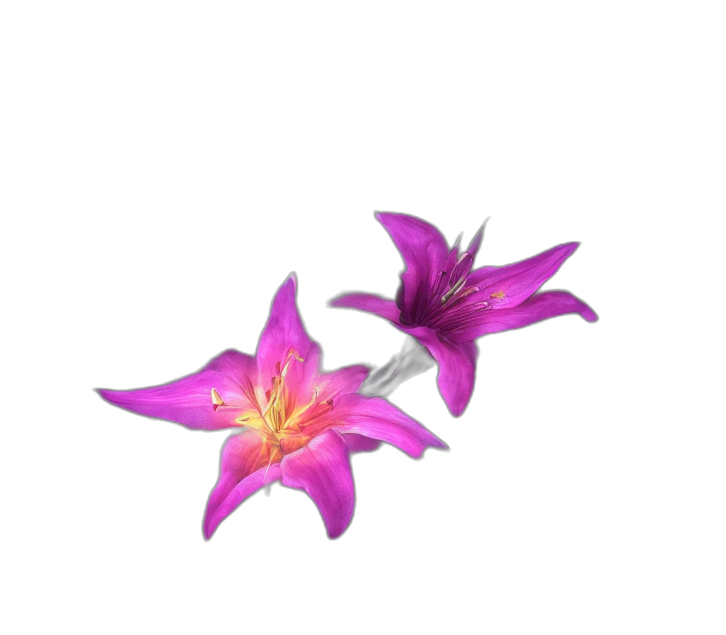 flower, crown, jewelry, staff transparent PNG cut-out