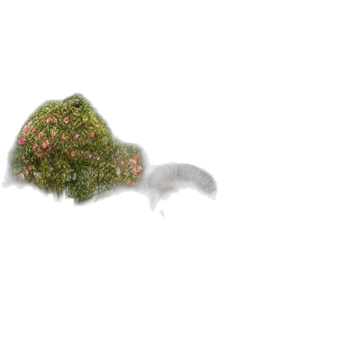 hair, hat, crown, creature transparent PNG cut-out