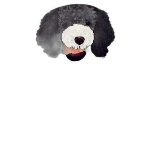 animal, hat, creature, hair transparent PNG cut-out