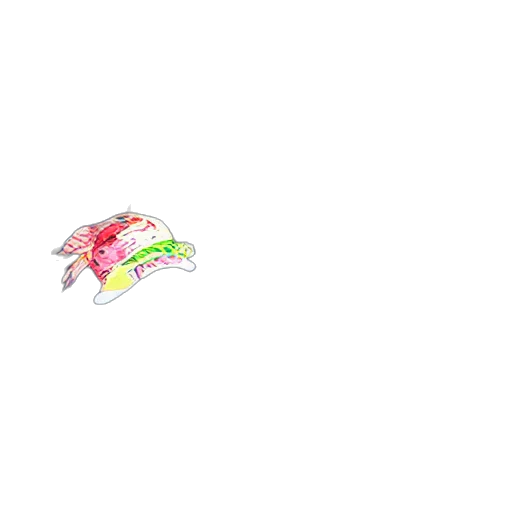 hat, dragon, creature, food transparent PNG cut-out