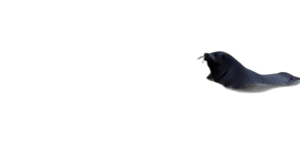 animal, staff, hat, creature transparent PNG cut-out