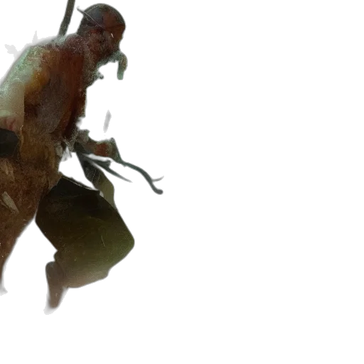 dragon, creature, animal, weapon transparent PNG cut-out